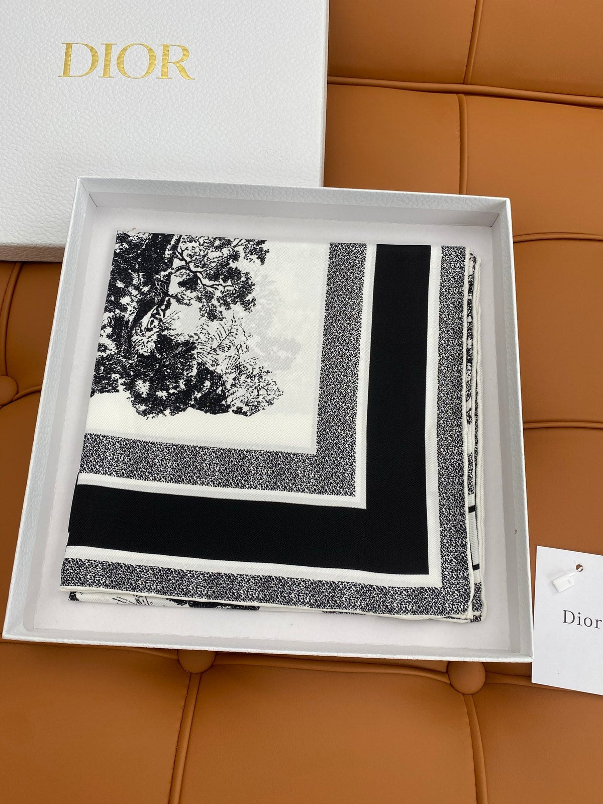 DIOR SCARF 90 IN SILK 704596